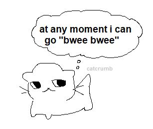 at any moment i can go bwee bwee