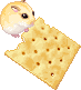a pixel animation of a hamster nibbling on a saltine
